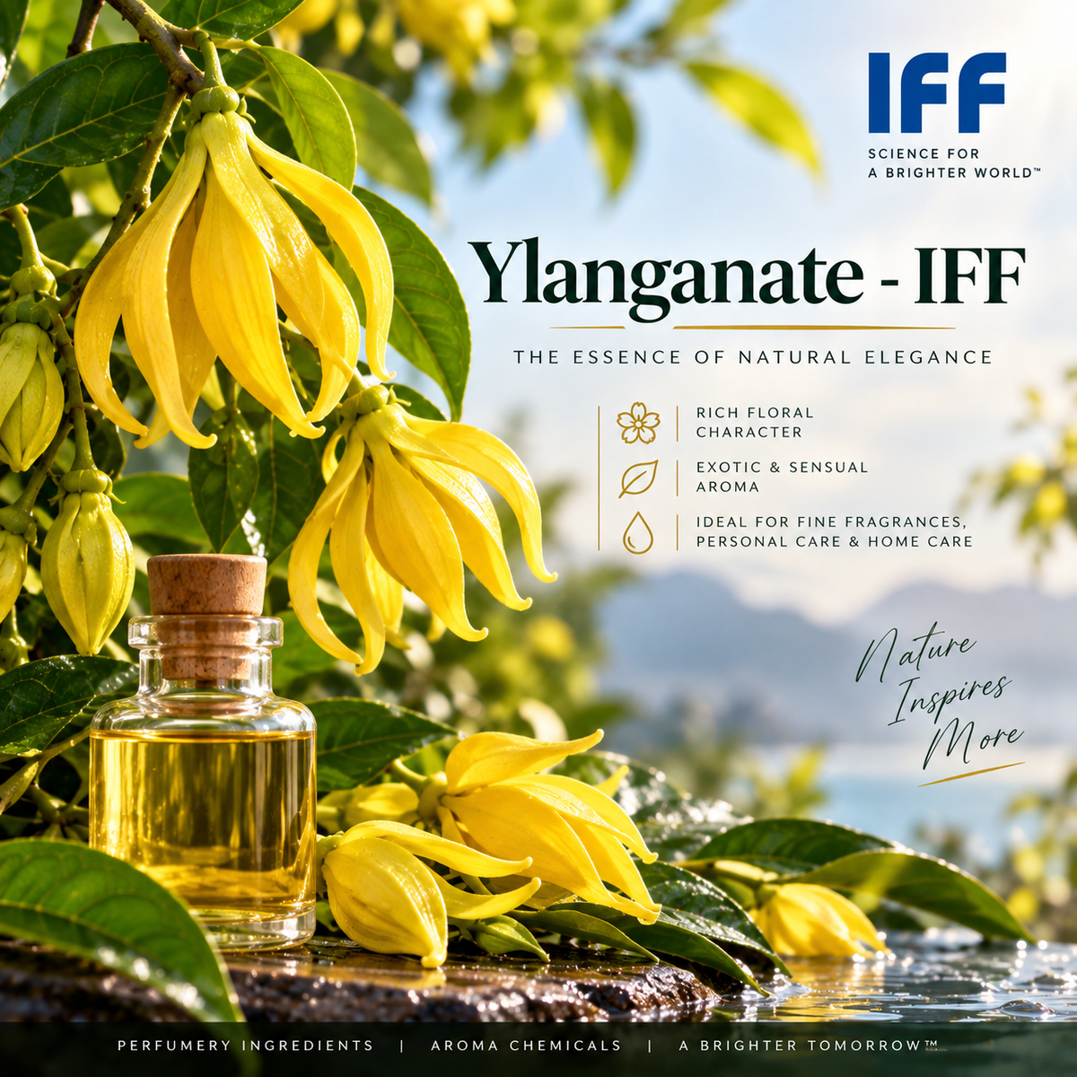 Ylanganate - IFF