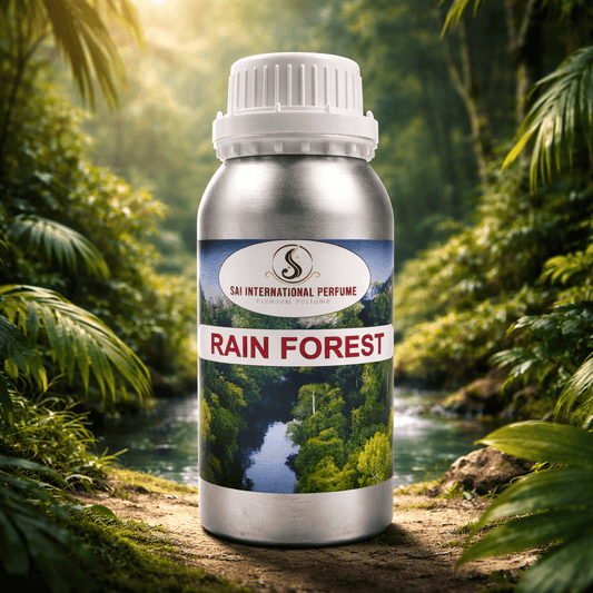 Rain Forest