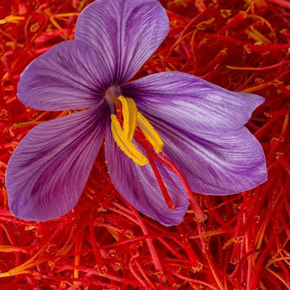 Safranal Extra Pure – Authentic Saffron Spicy Aroma Chemical for Luxury Perfumery & Incense