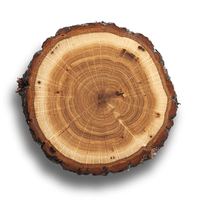 Timber Touch (Aqua Touch) – Fresh Woody Aquatic Aroma Chemical for Perfumery (Alternate View)